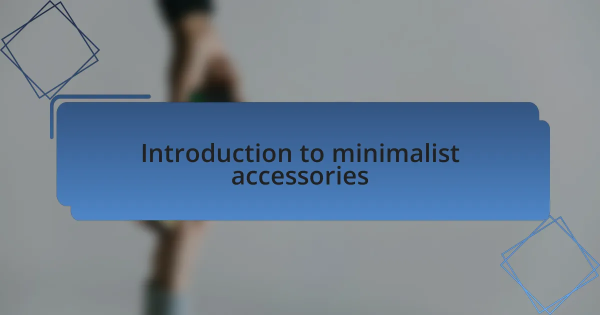 Introduction to minimalist accessories