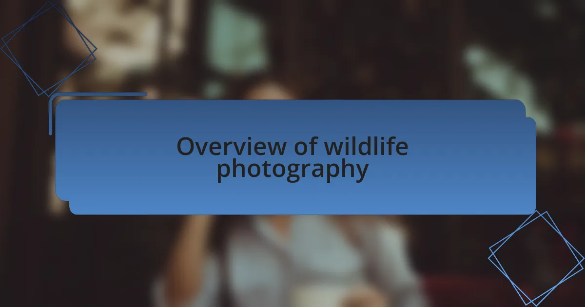 Overview of wildlife photography