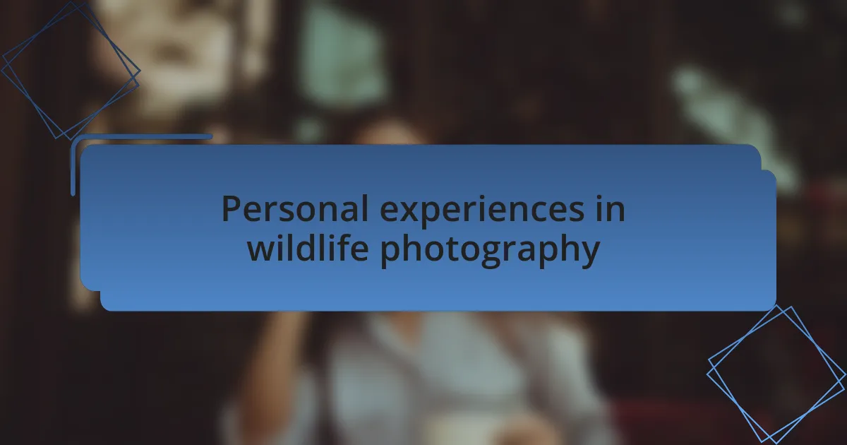 Personal experiences in wildlife photography